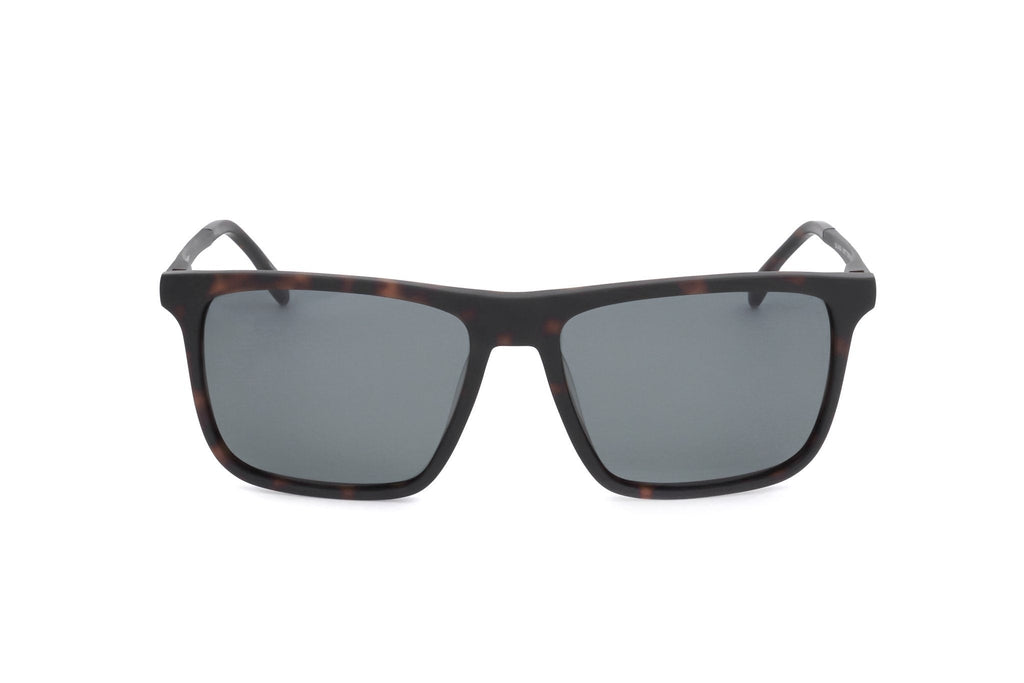 Quiksilver Men's Acetate Sunglasses
