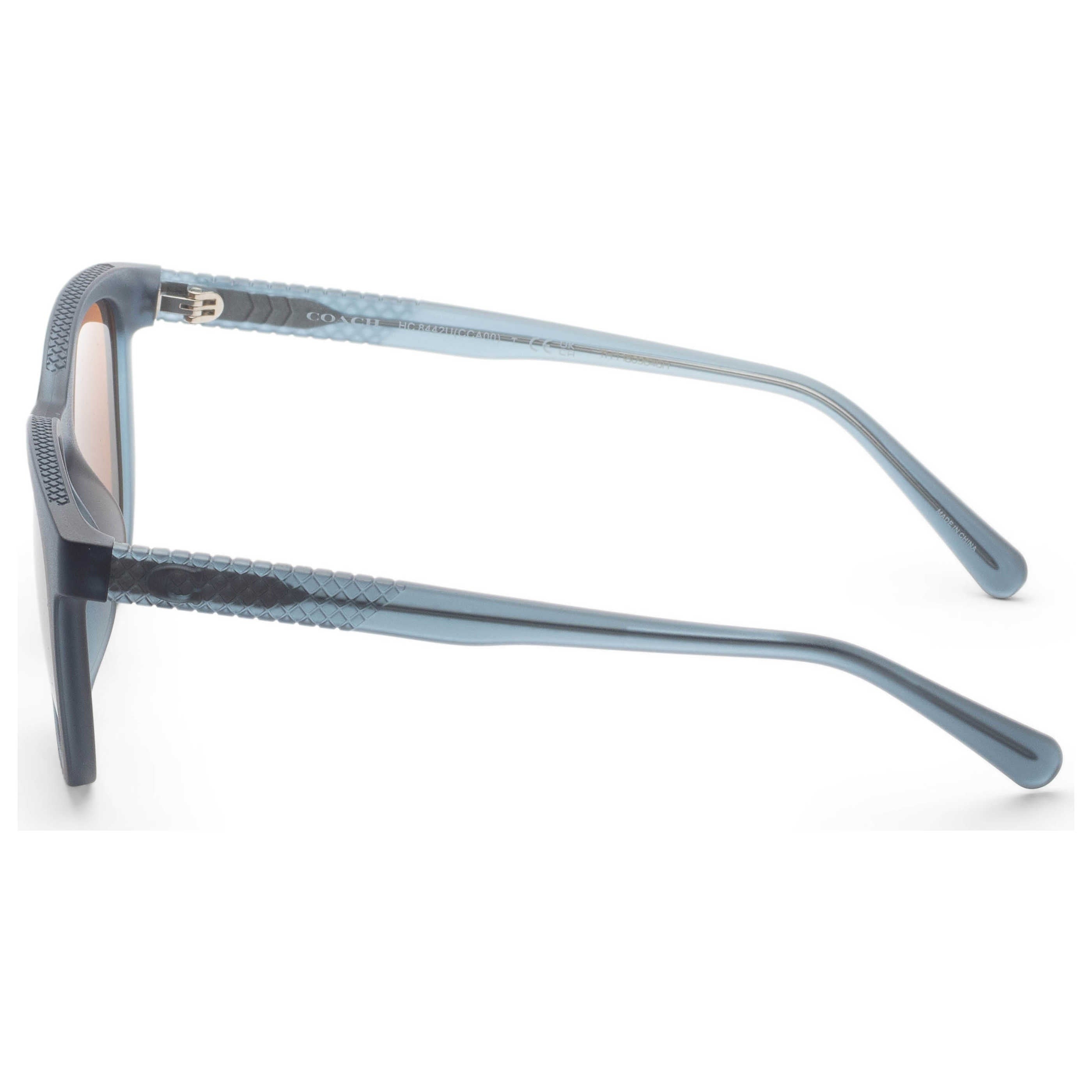 Coach Women's Sunglasses HC8442U-591273-54