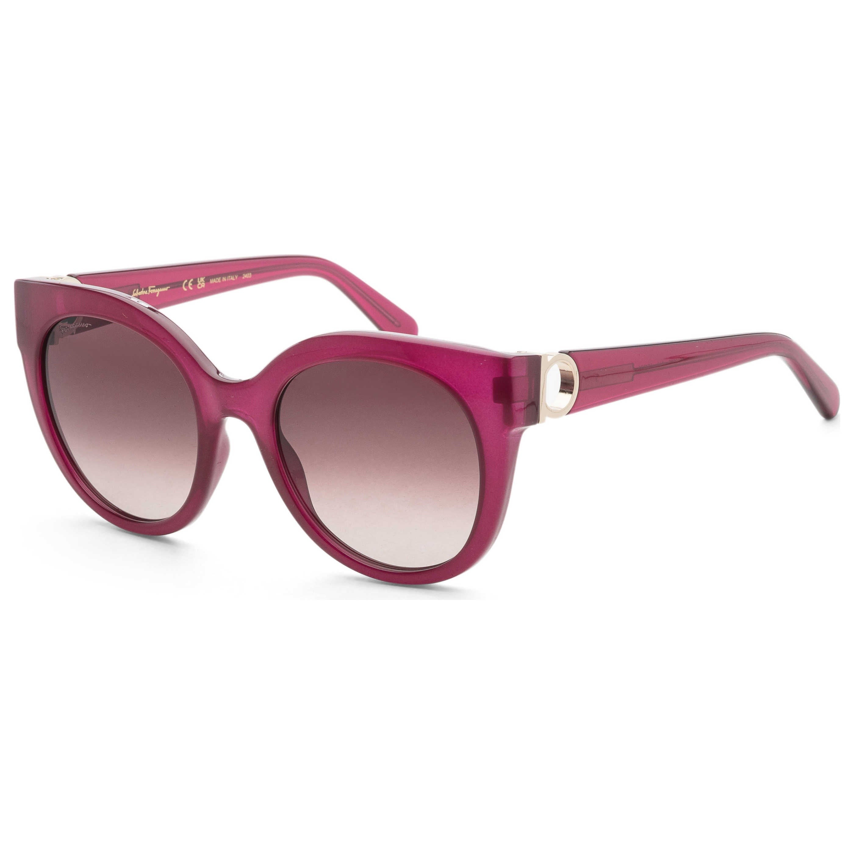 Ferragamo Fashion Women's Sunglasses SF1031S-513