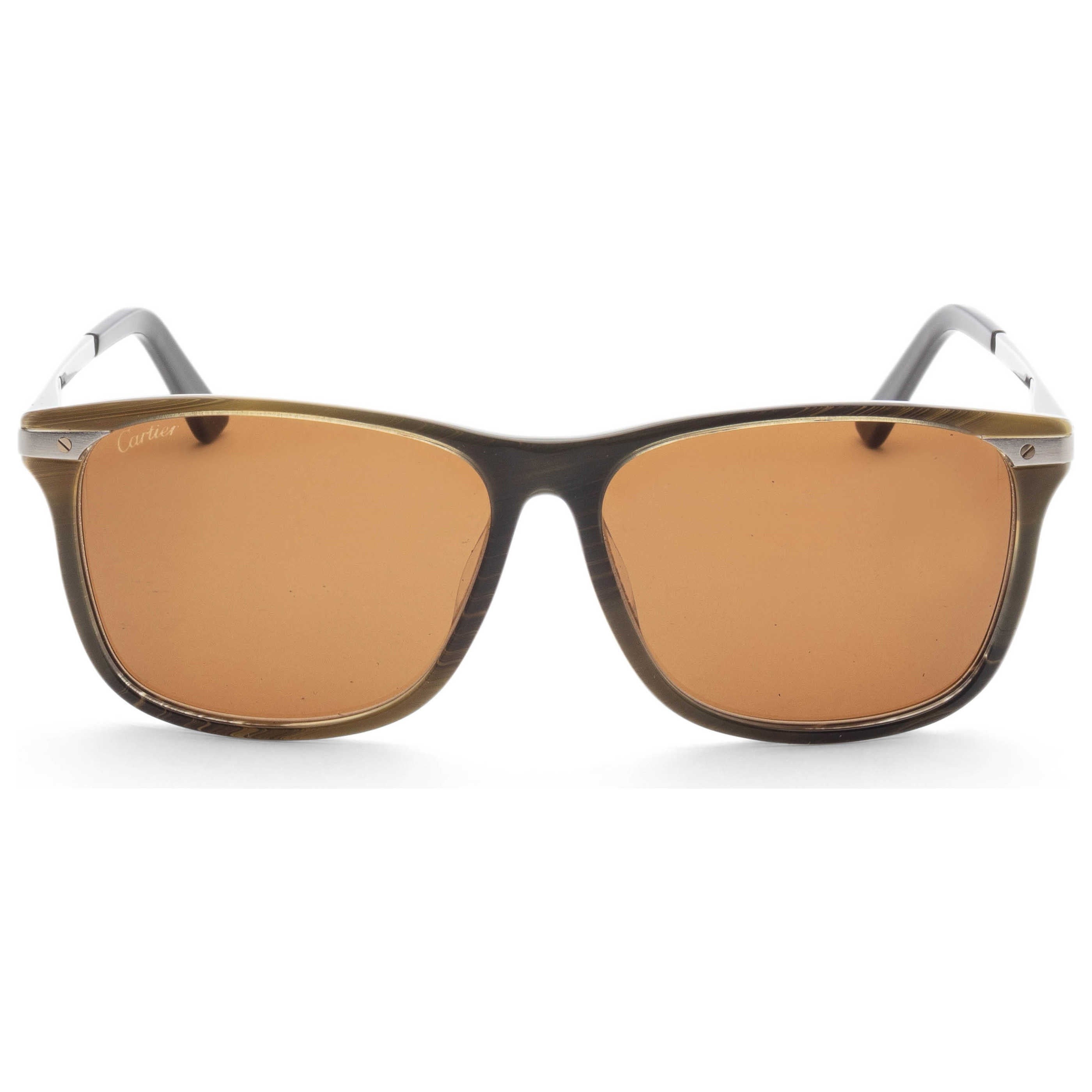 Cartier Men's Sunglasses CT0104SA-003