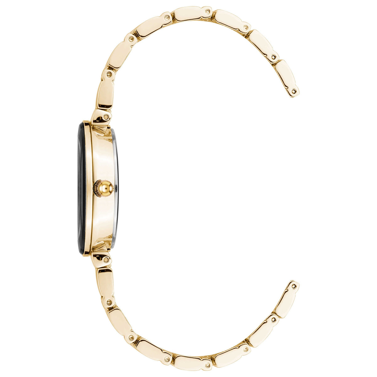 Anne Klein Women's Watch AK-2434BKGB
