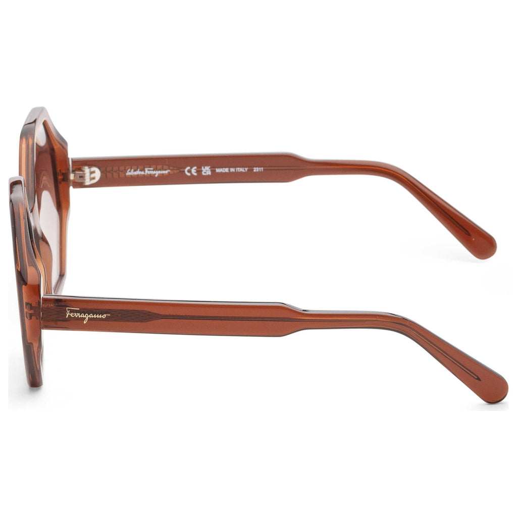 Ferragamo Fashion Women's Sunglasses SF1070S-210