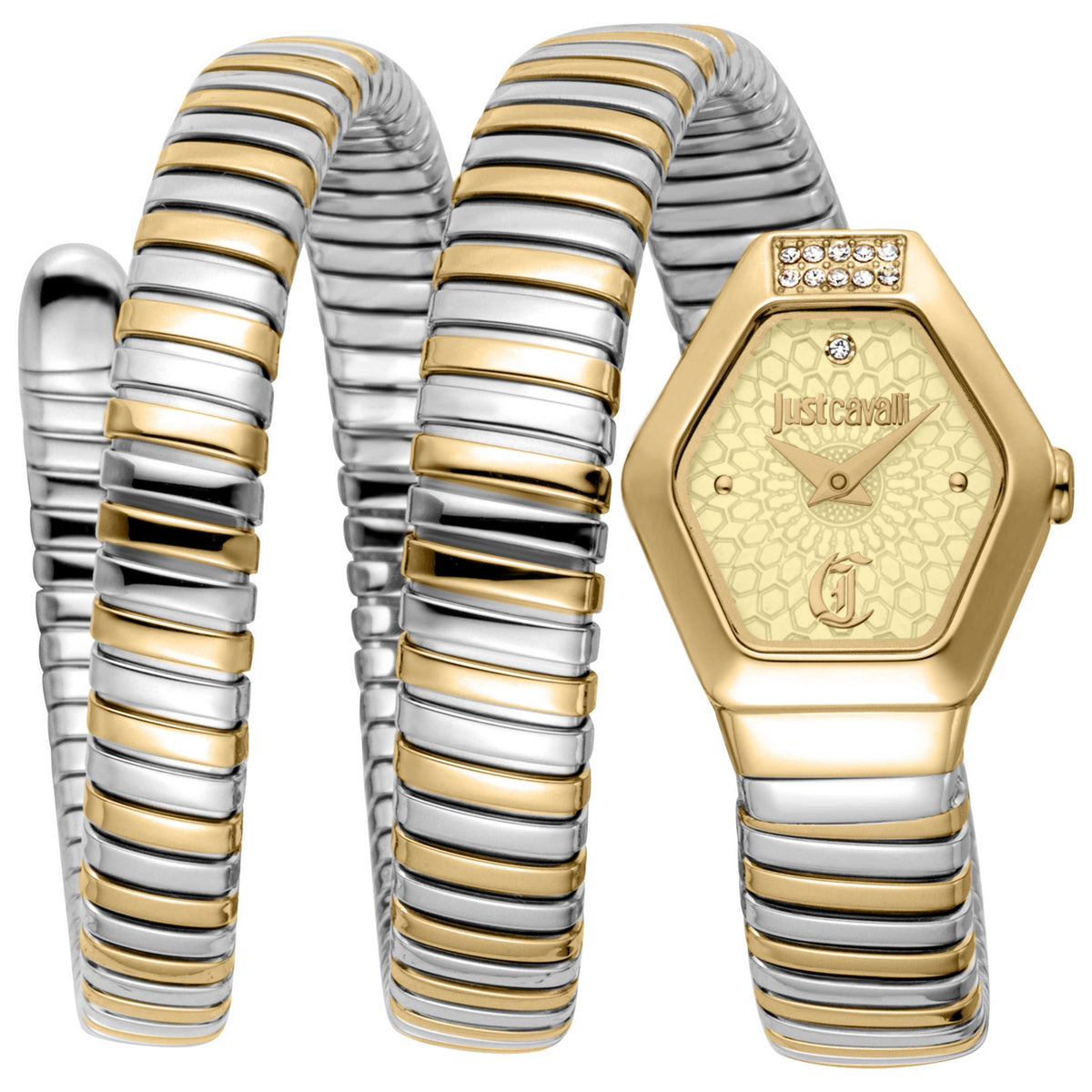 Just Cavalli Women's Watch JC1L395M0055