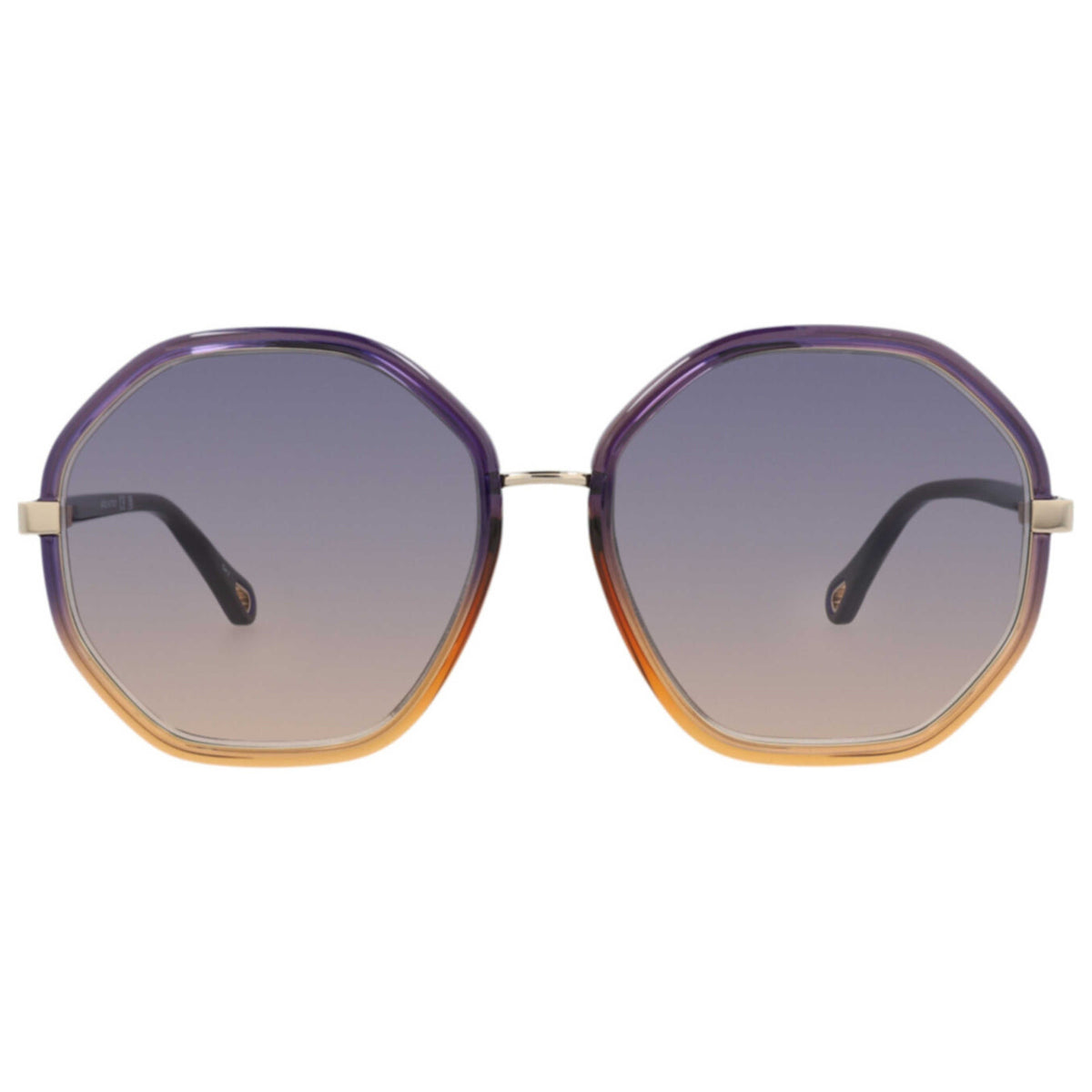 Chloe Women's Sunglasses CH0133SA-30013646-007