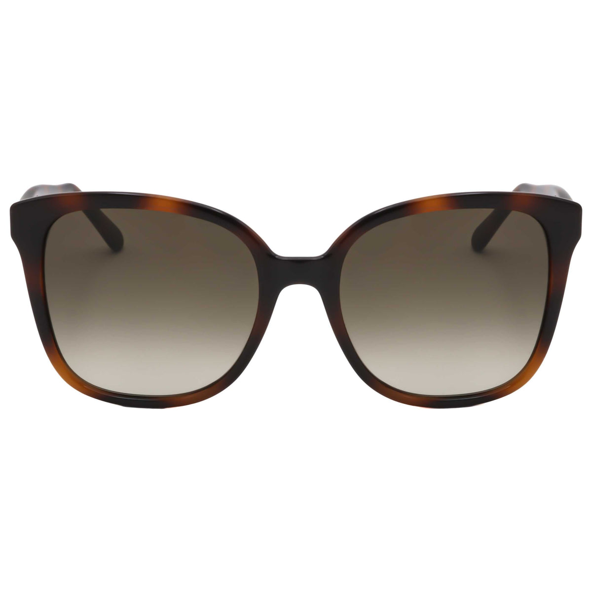Ferragamo Women's Sunglasses SF1072S-240-56