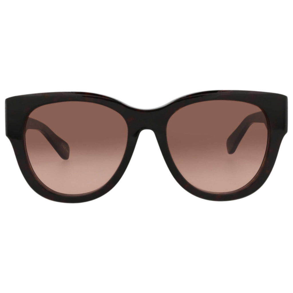 Chloe Women's Sunglasses CH0192S-30014665-002