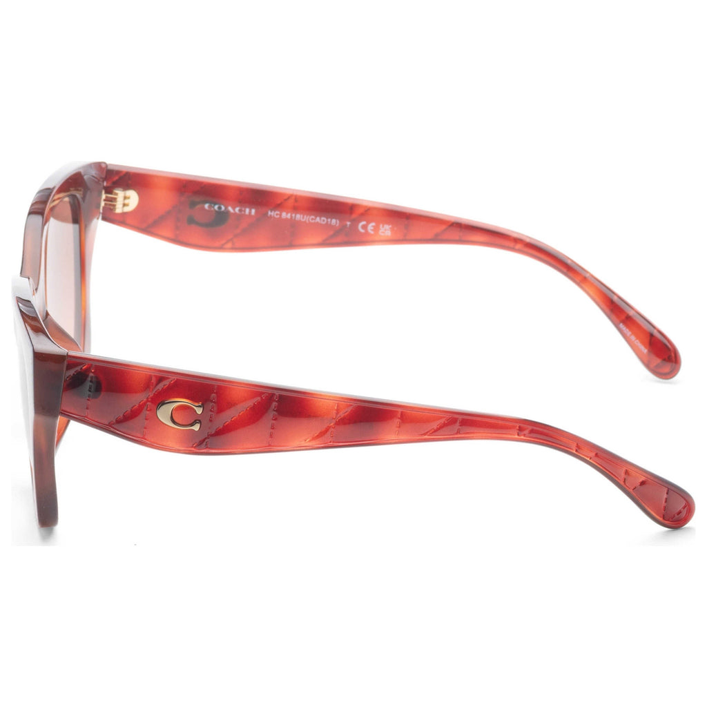 Coach Women's Sunglasses HC8418U-577413-53
