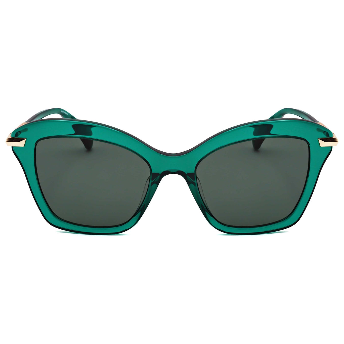Rag & Bone Women's Sunglasses RNB1081-S-1ED-53