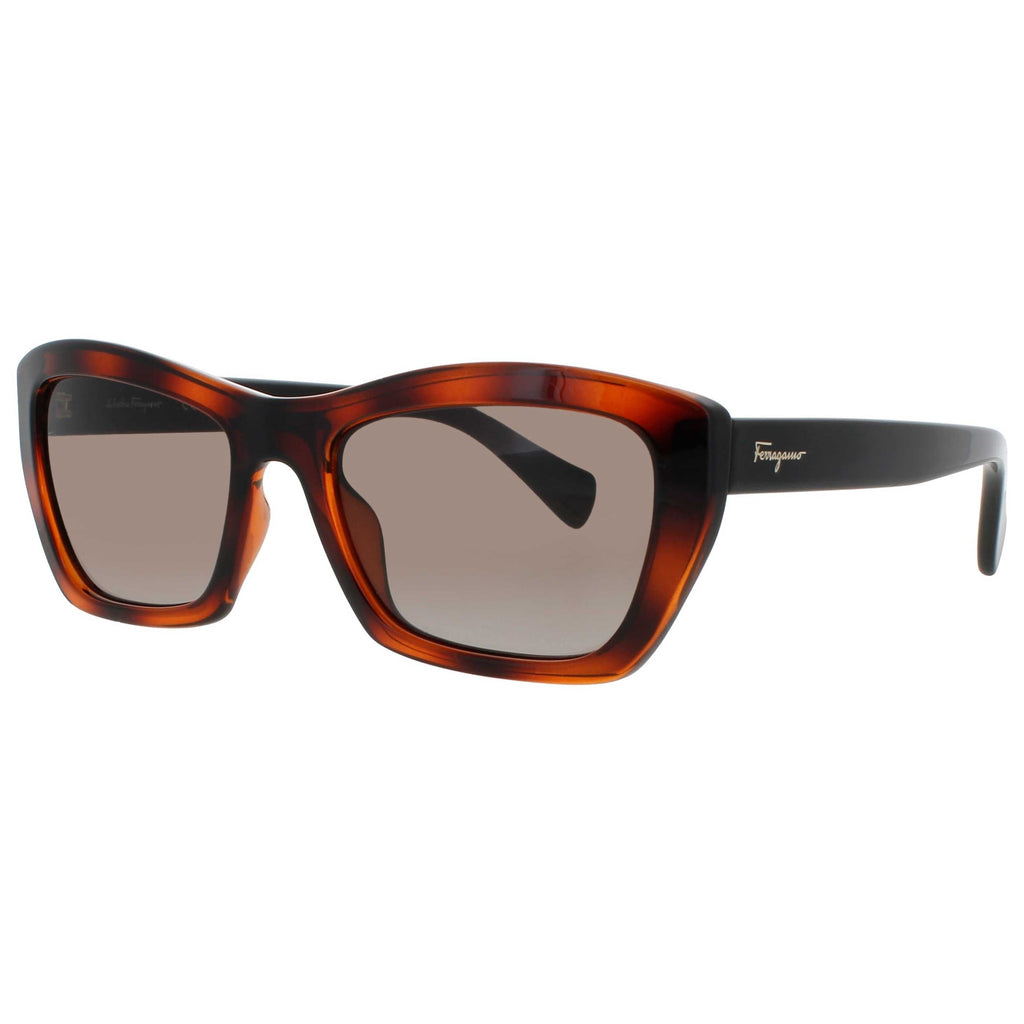 Ferragamo Women's Sunglasses SF-SF958S-214