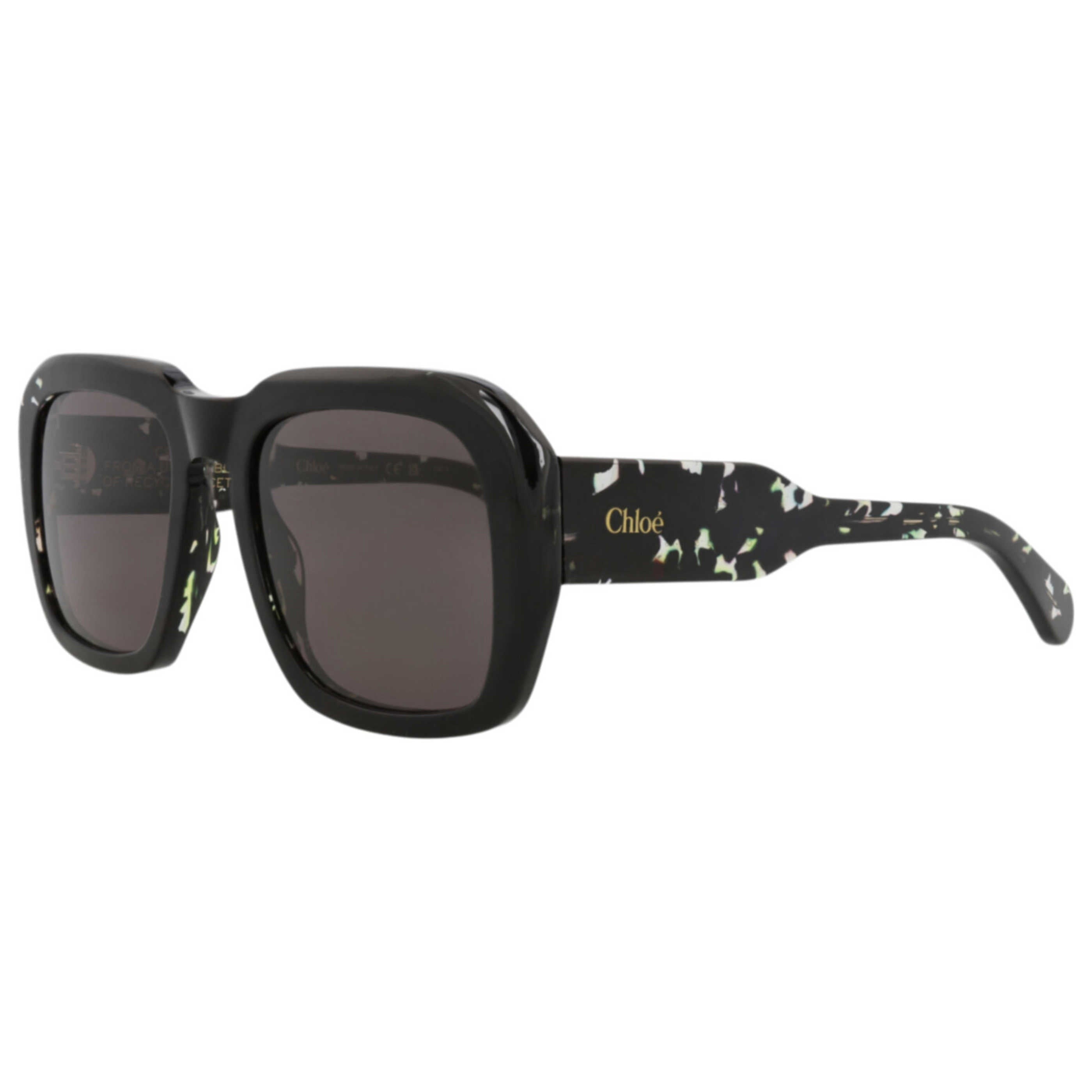 Chloe Women's Sunglasses CH0310S-30016294-003