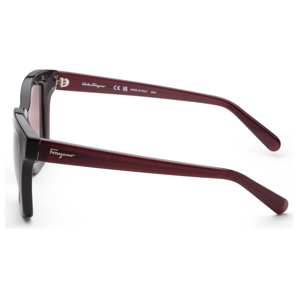 Ferragamo Fashion Women's Sunglasses SF955S-613