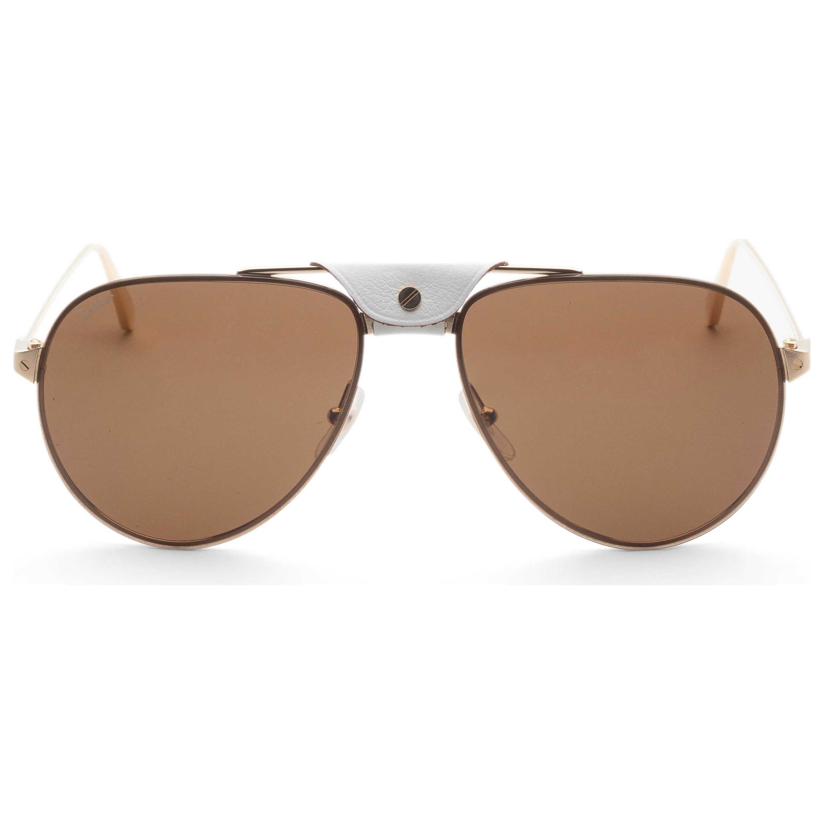 Cartier Unisex Sunglasses CT0166S-010