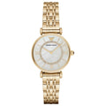 Emporio Armani Classic Women's Watch AR1907