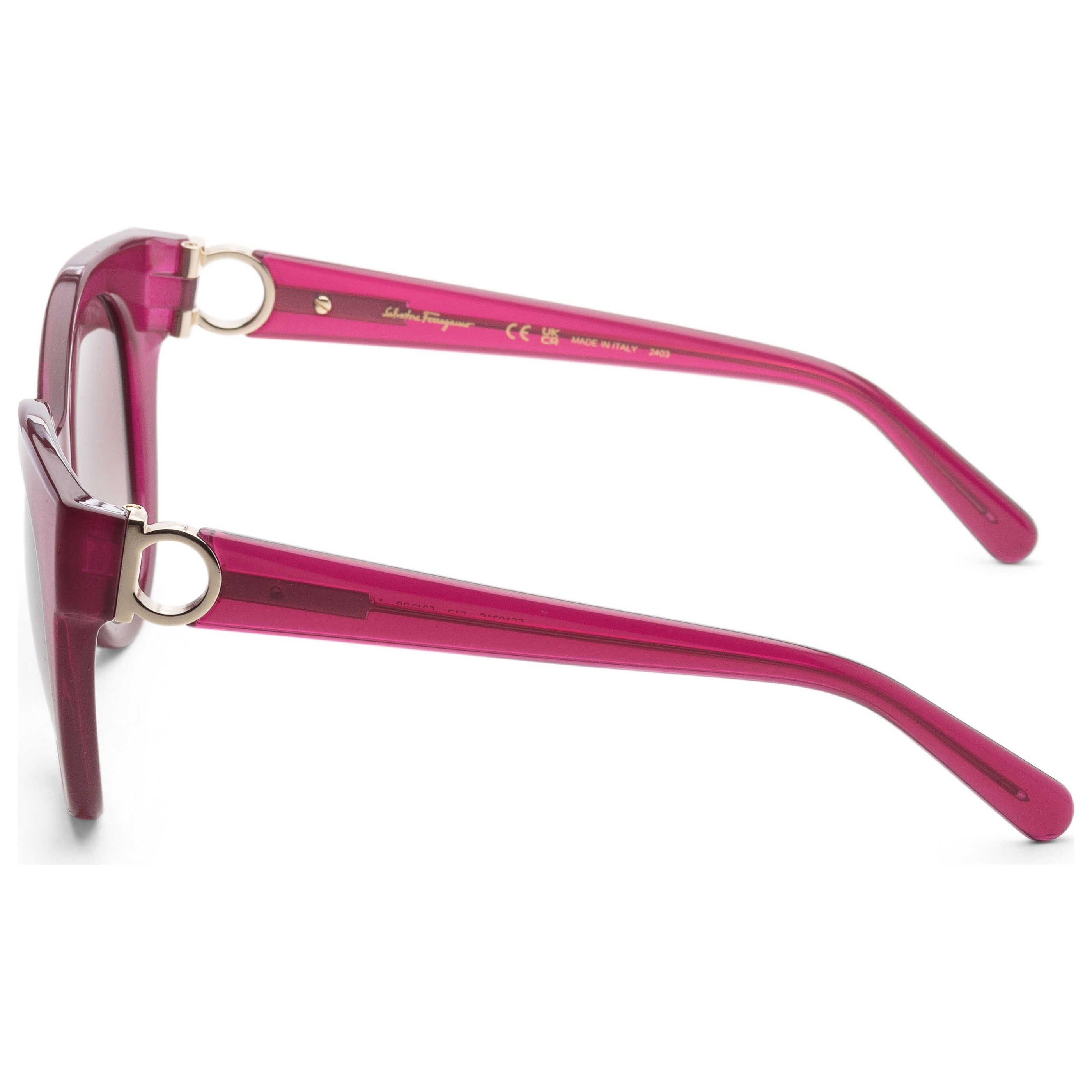 Ferragamo Fashion Women's Sunglasses SF1031S-513