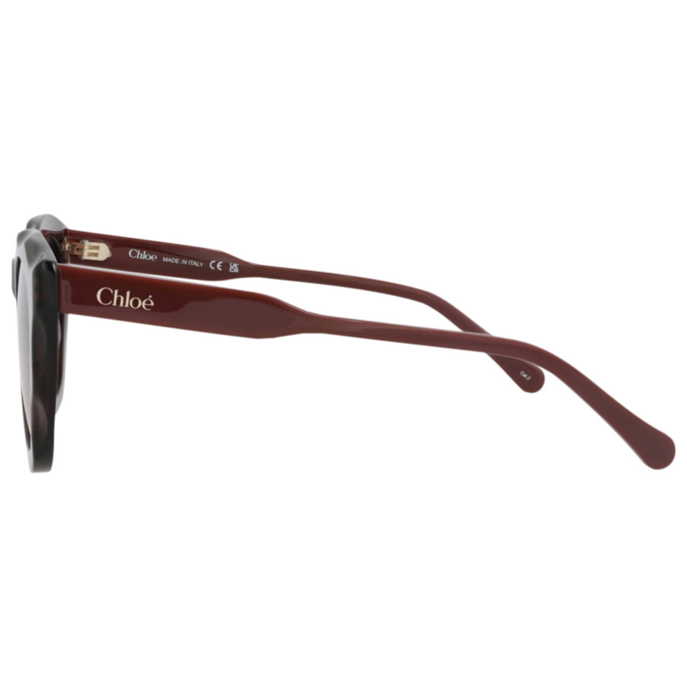 Chloe Women's Sunglasses CH0295S-30016337-002