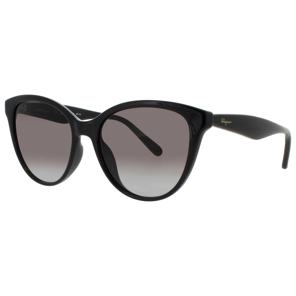 Ferragamo Women's Sunglasses SF-SF1073S-001