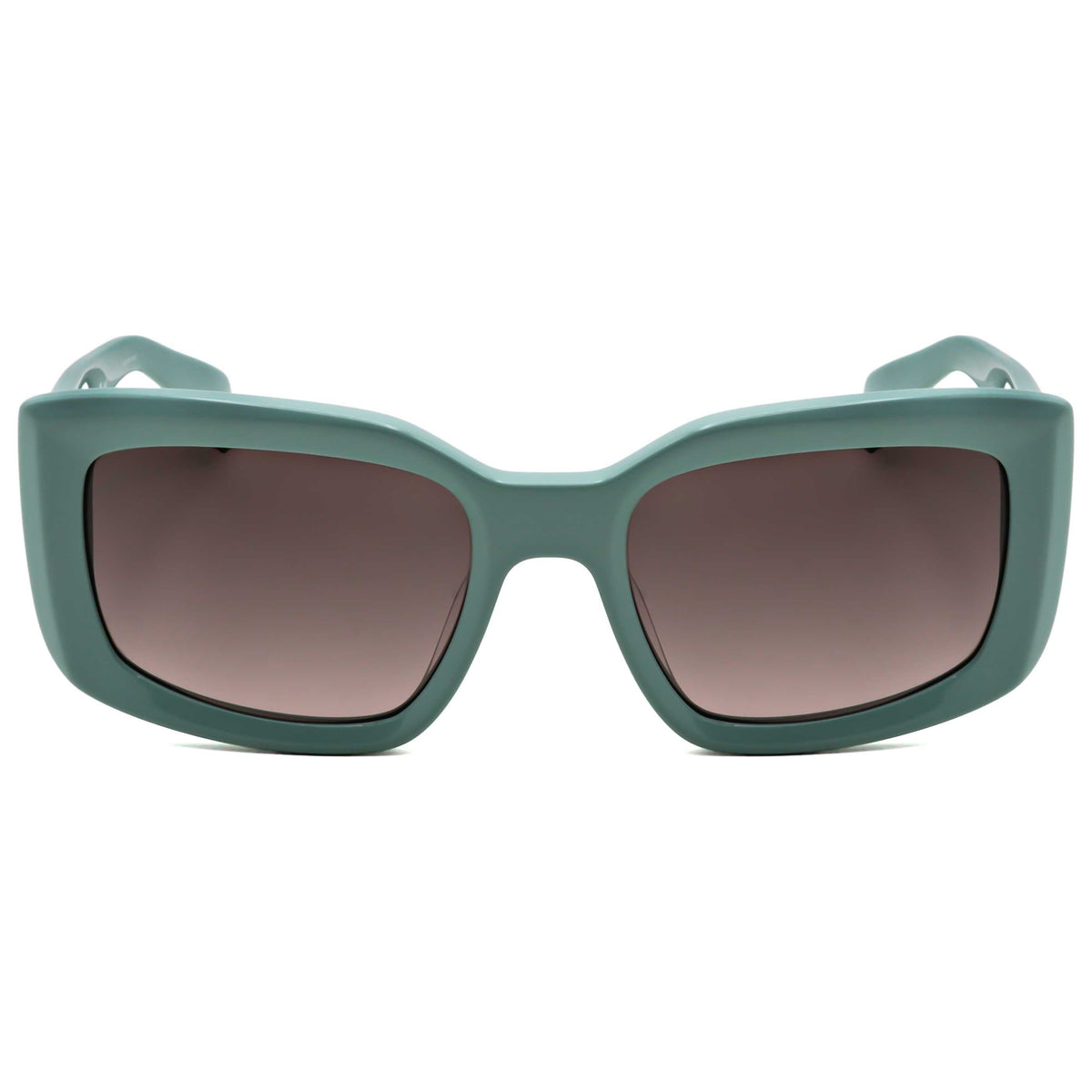 Rag & Bone Women's Sunglasses RNB1076-S-1ED-54