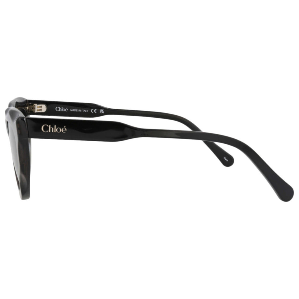 Chloe Women's Sunglasses CH0294S-30016334-001