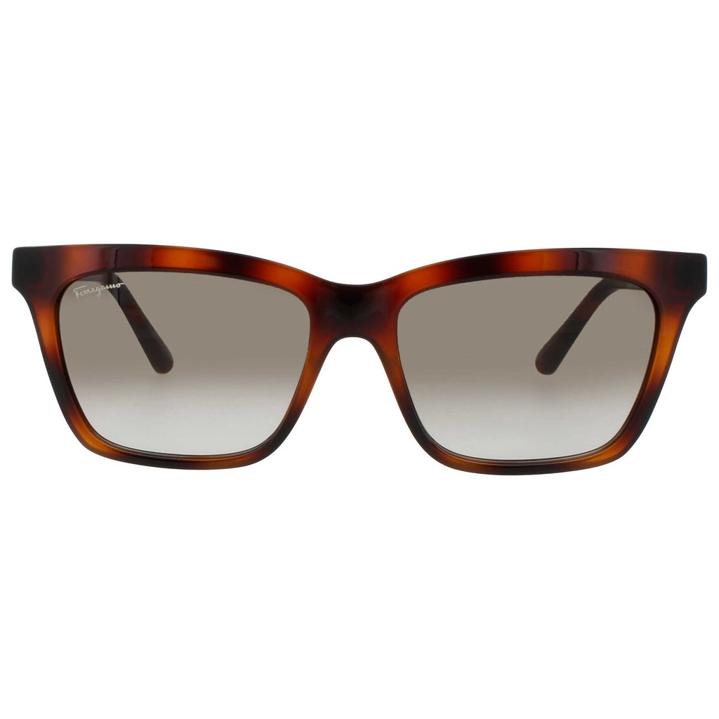 Ferragamo Women's Sunglasses SF-SF1027S-214