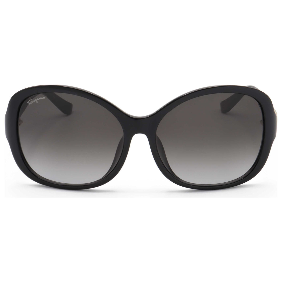 Ferragamo Fashion Women's Sunglasses SF744SLA-001