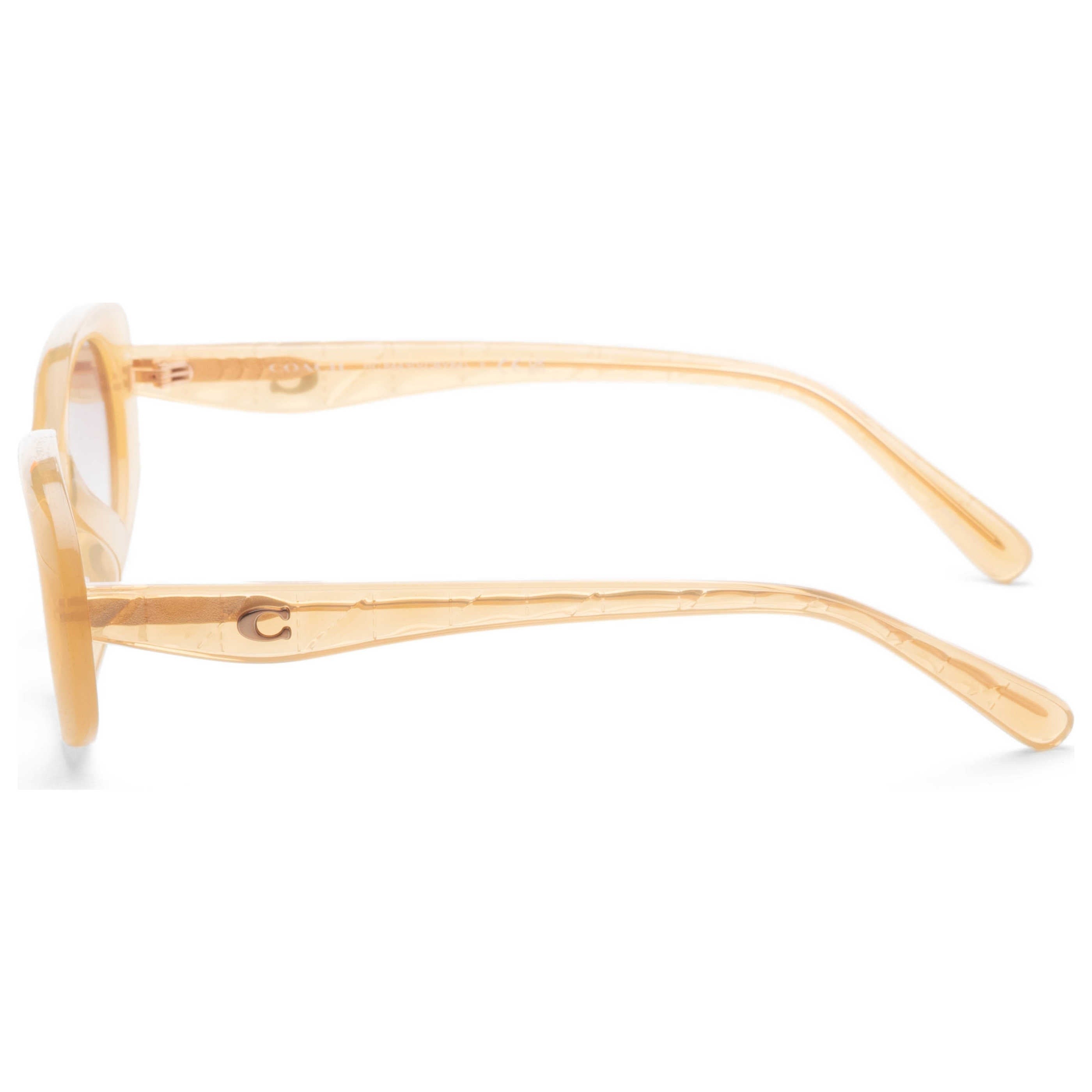 Coach Women's Sunglasses HC8443D-591313-54