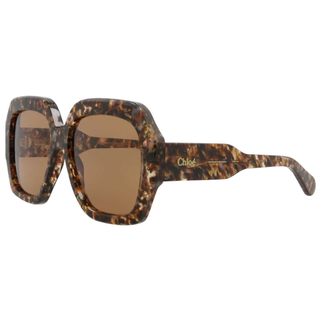 Chloe Women's Sunglasses CH0154S-30014079-009
