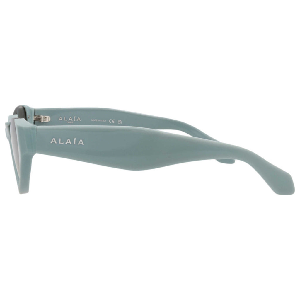 Alaia Women's Sunglasses AA0076S-30015128-004