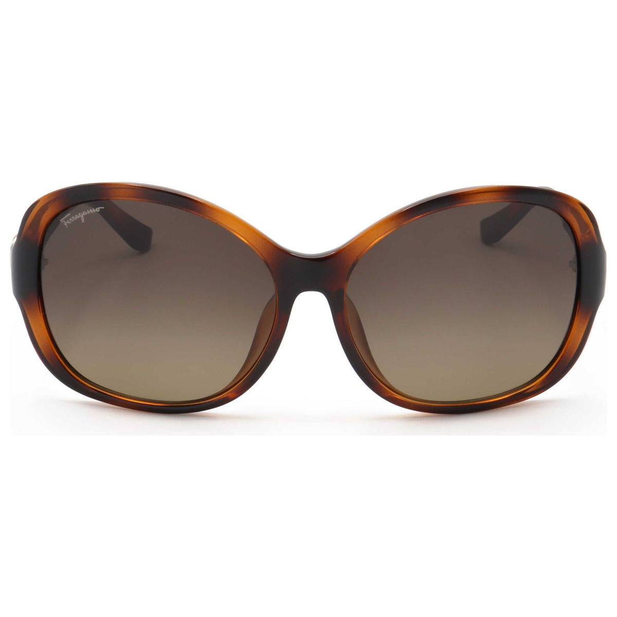 Ferragamo Women's Sunglasses SF744SLA-214-59