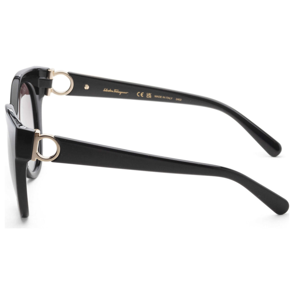 Ferragamo Fashion Women's Sunglasses SF1031S-001-53