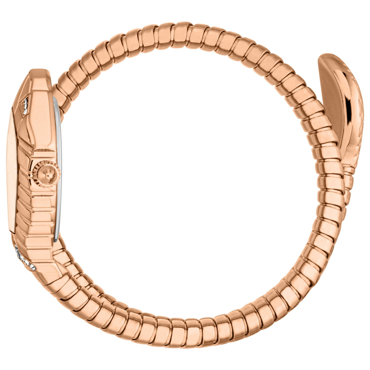 Just Cavalli Women's Watch JC1L356M0045