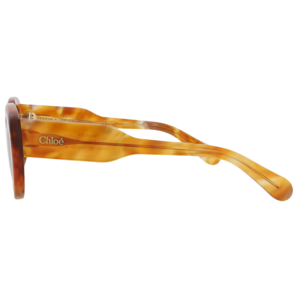 Chloe Women's Sunglasses CH0311S-30016295-005