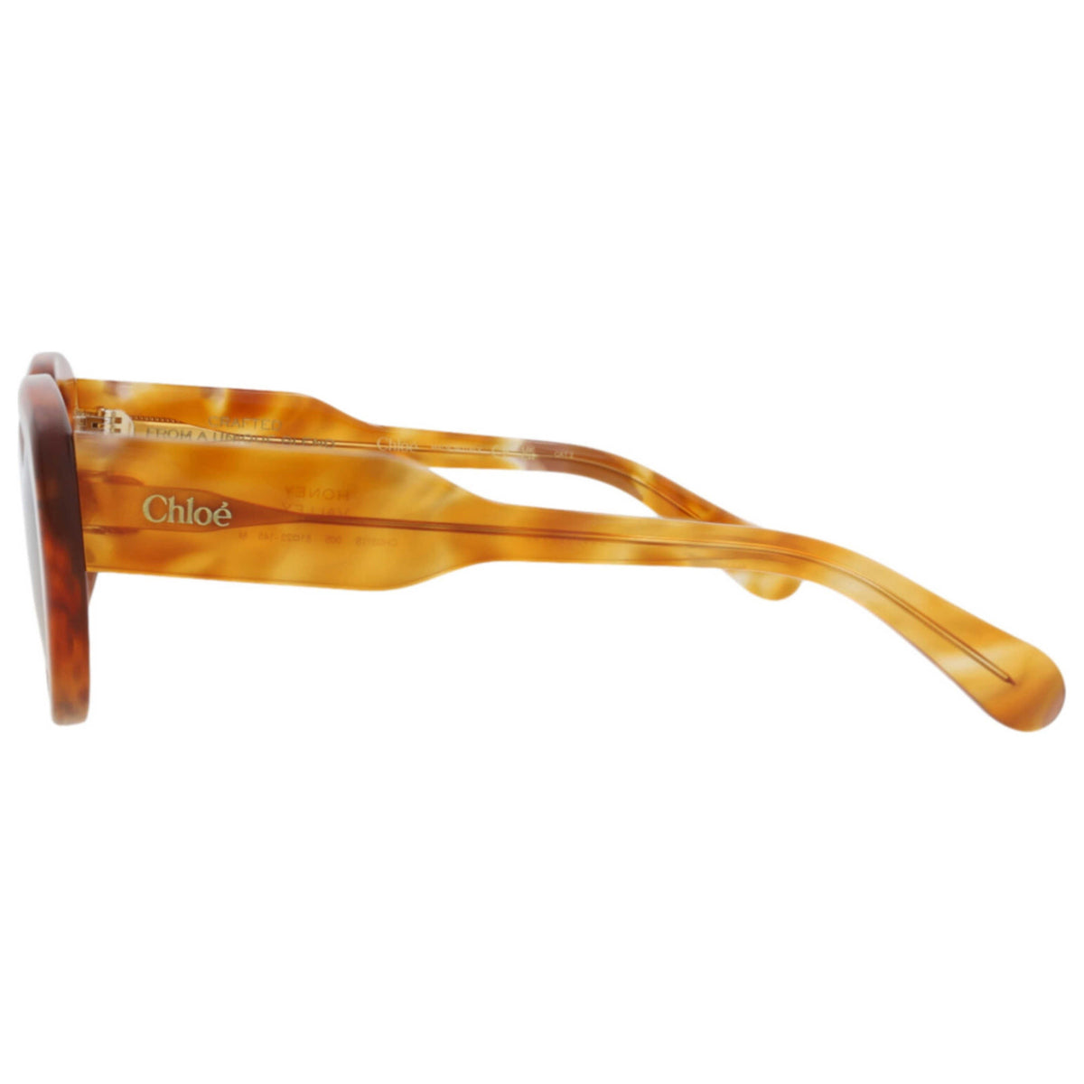 Chloe Women's Sunglasses CH0311S-30016295-005
