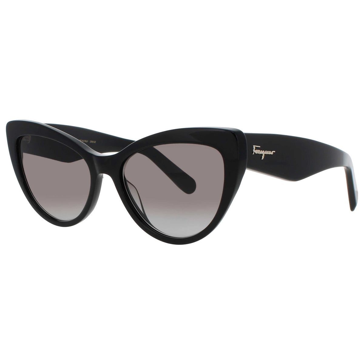 Ferragamo Women's Sunglasses SF-SF930S-001