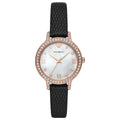 Emporio Armani Classic Women's Watch AR11485