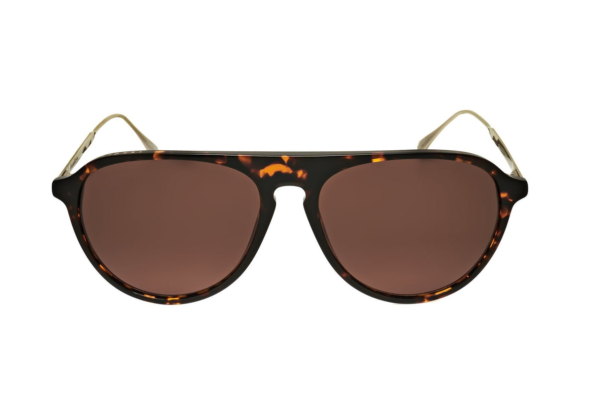 Sandro Men's Acetate Sunglasses
