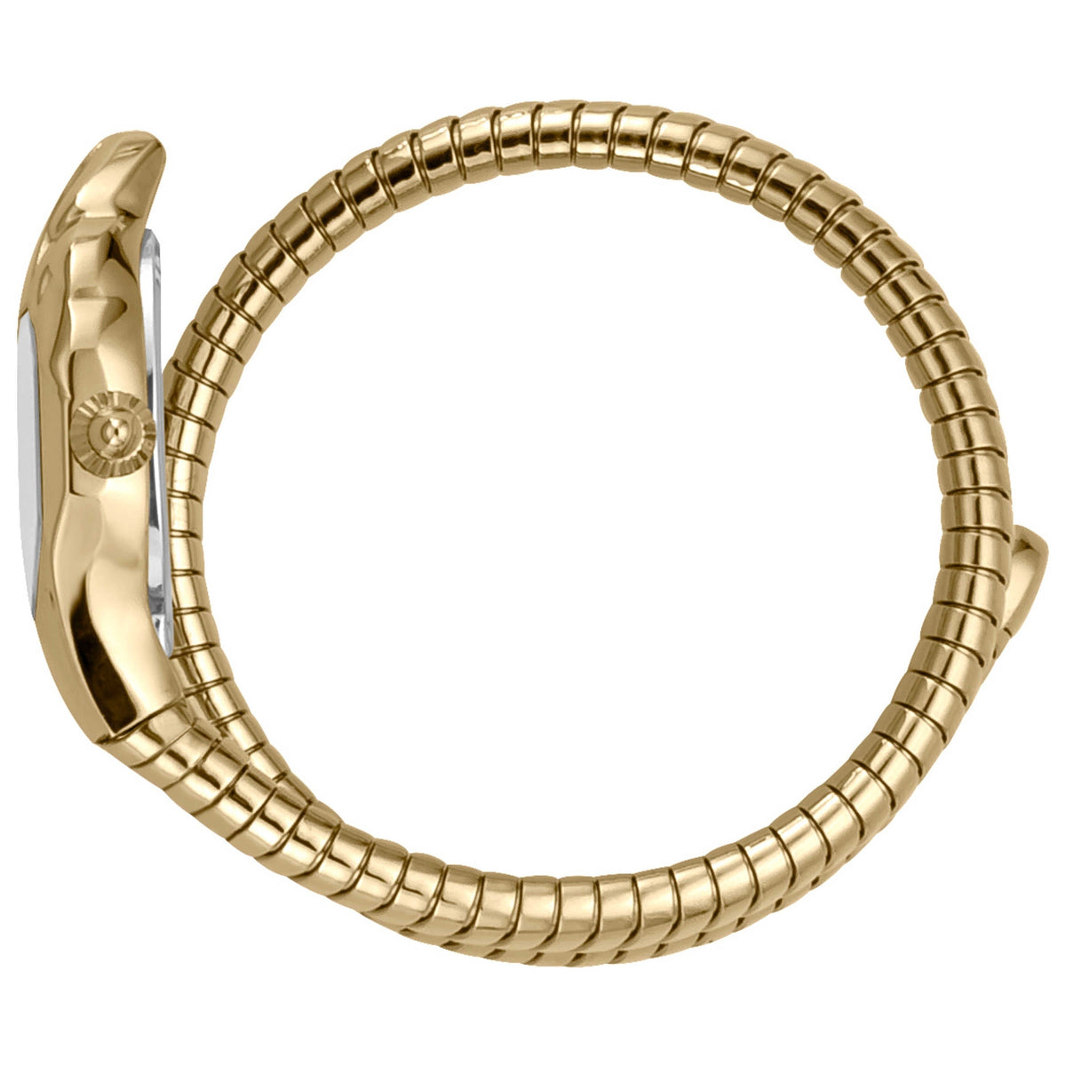 Just Cavalli Women's Watch JC1L001M0055