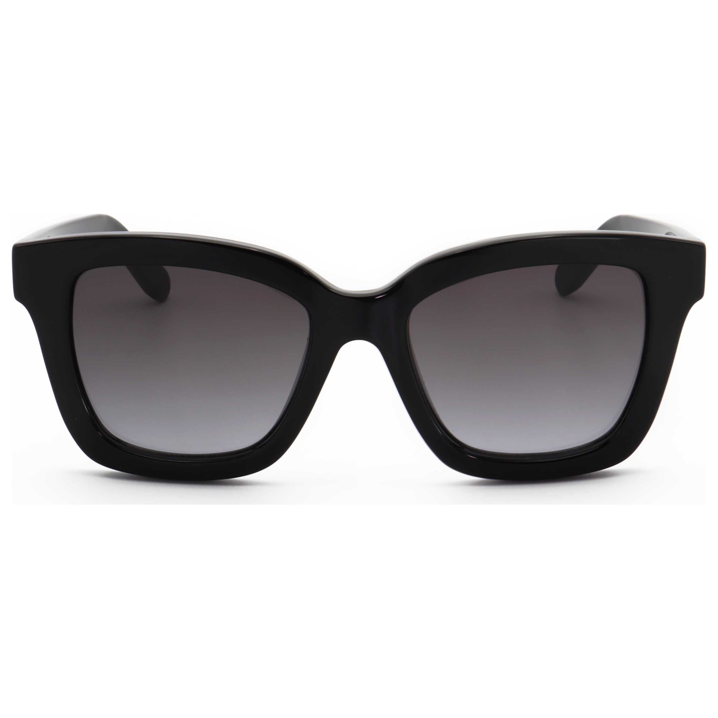 Ferragamo Women's Sunglasses SF955S-5319001