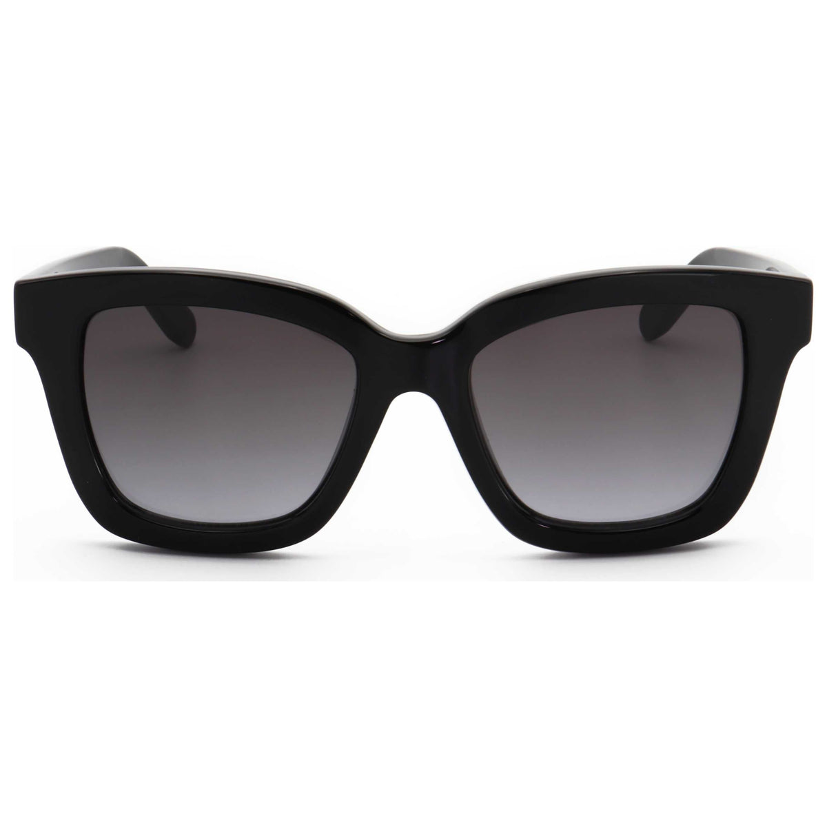 Ferragamo Women's Sunglasses SF955S-5319001