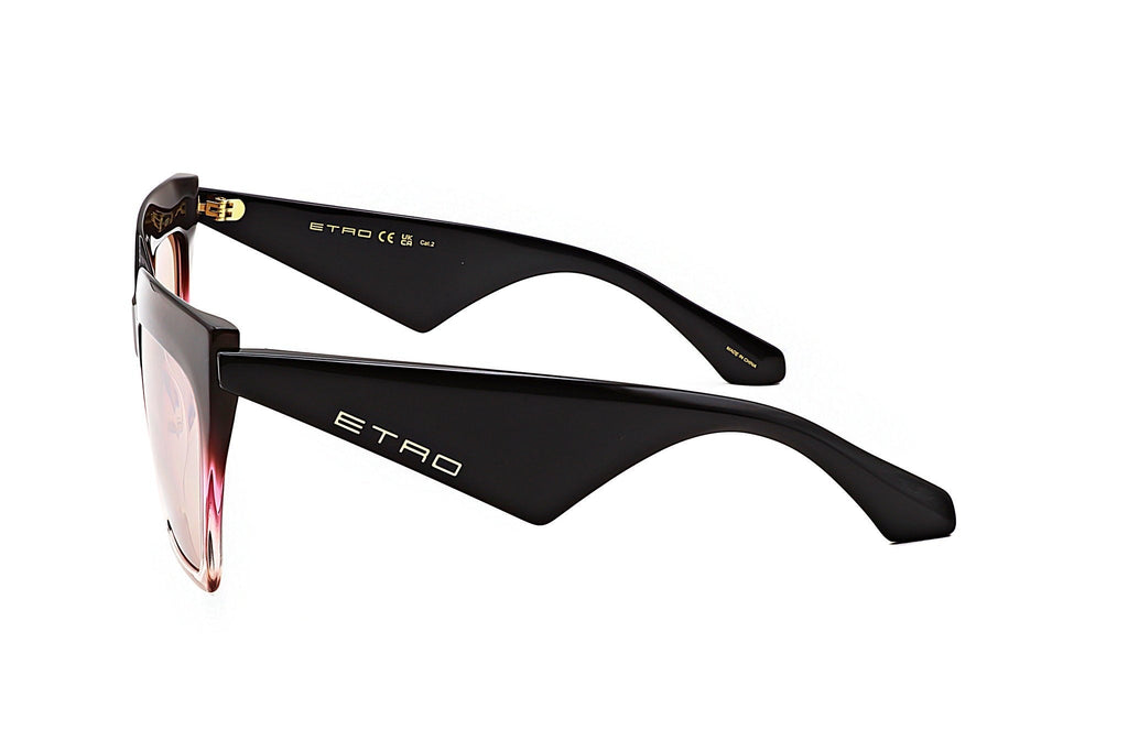 Etro Women's Acetate Sunglasses
