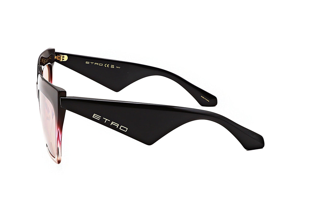 Etro Women's Acetate Sunglasses