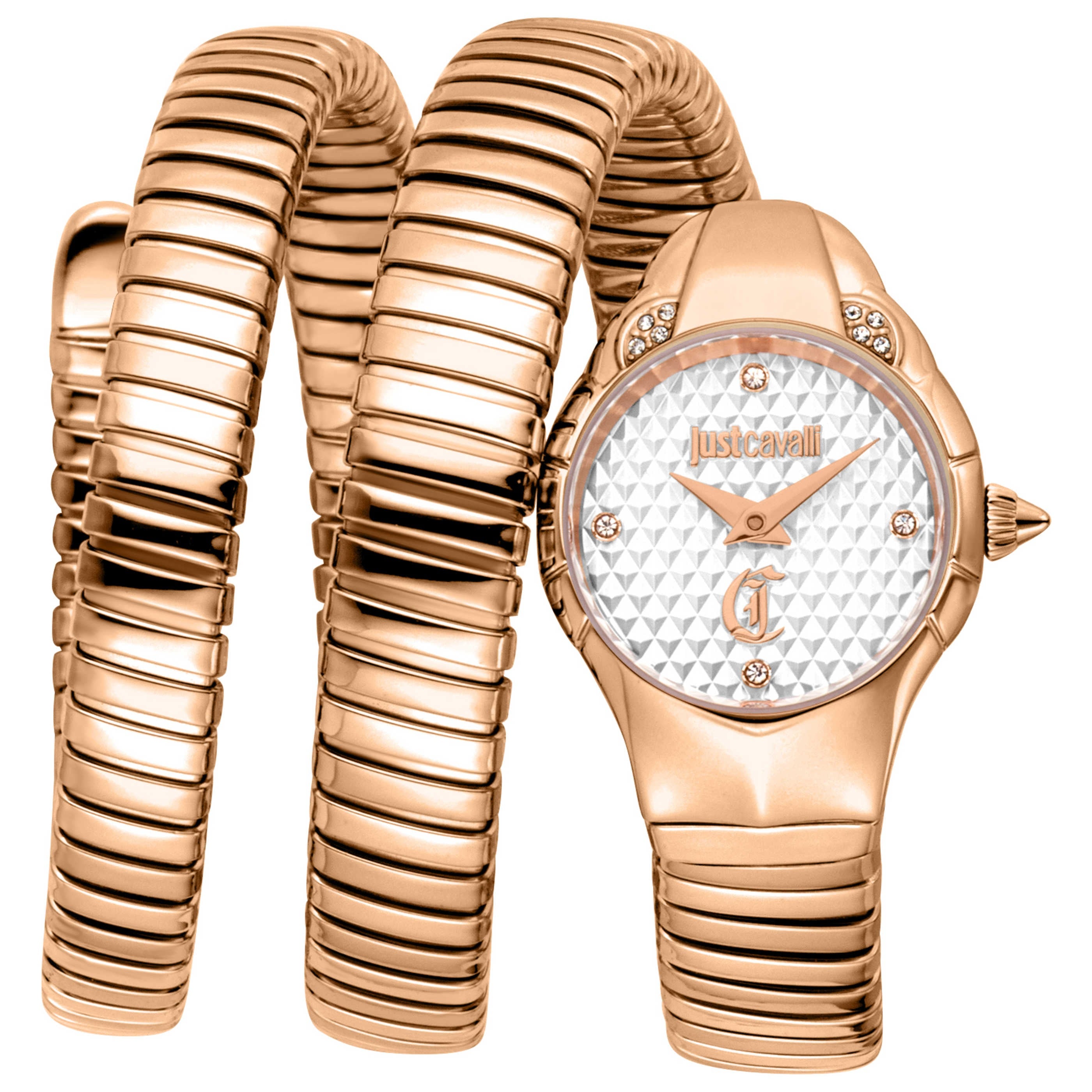 Just Cavalli Women's Watch JC1L393M0035