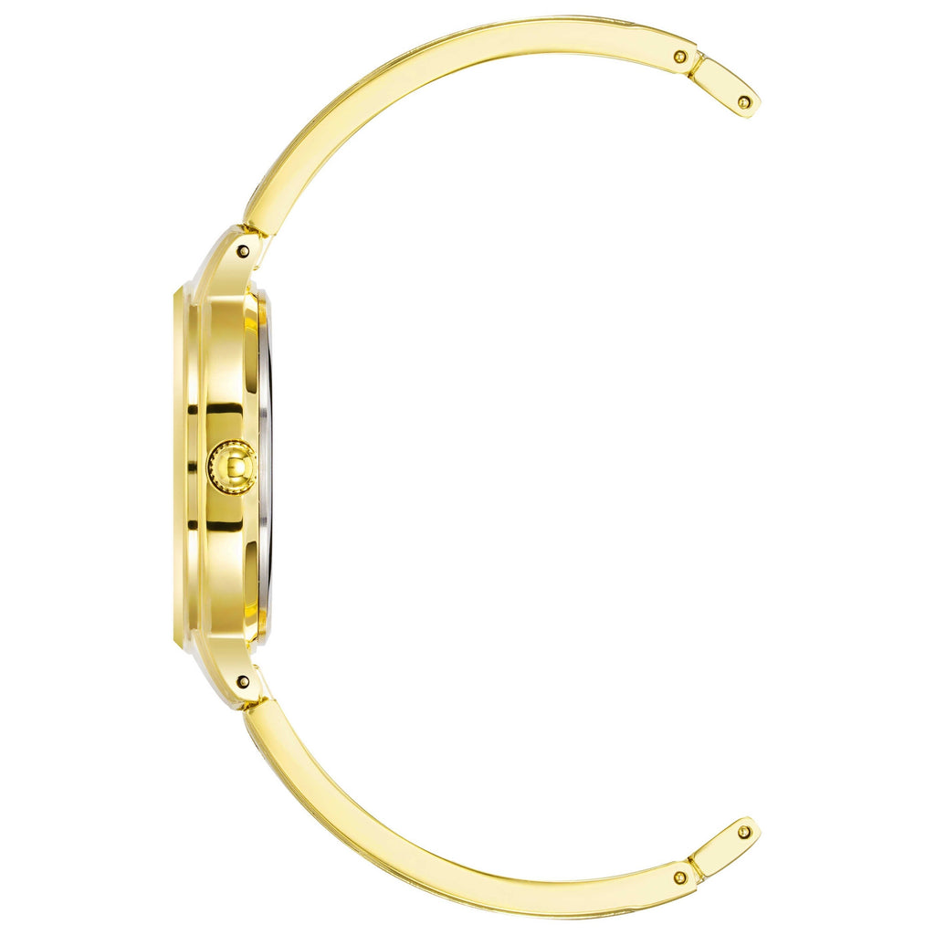 Anne Klein Women's Watch AK-2626PKGB