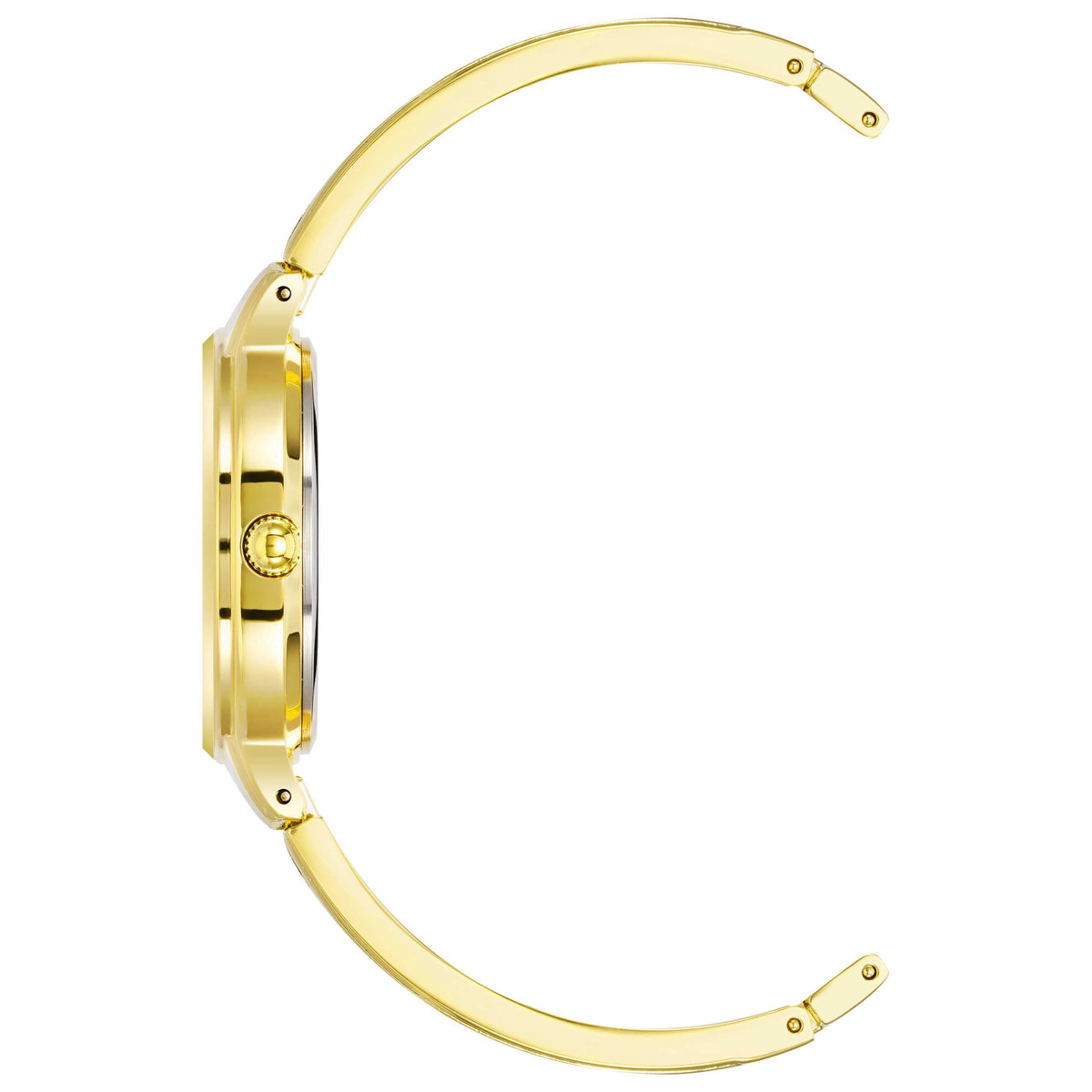 Anne Klein Women's Watch AK-2626PKGB