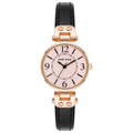 Anne Klein Women's Watch 10-9442PKBK