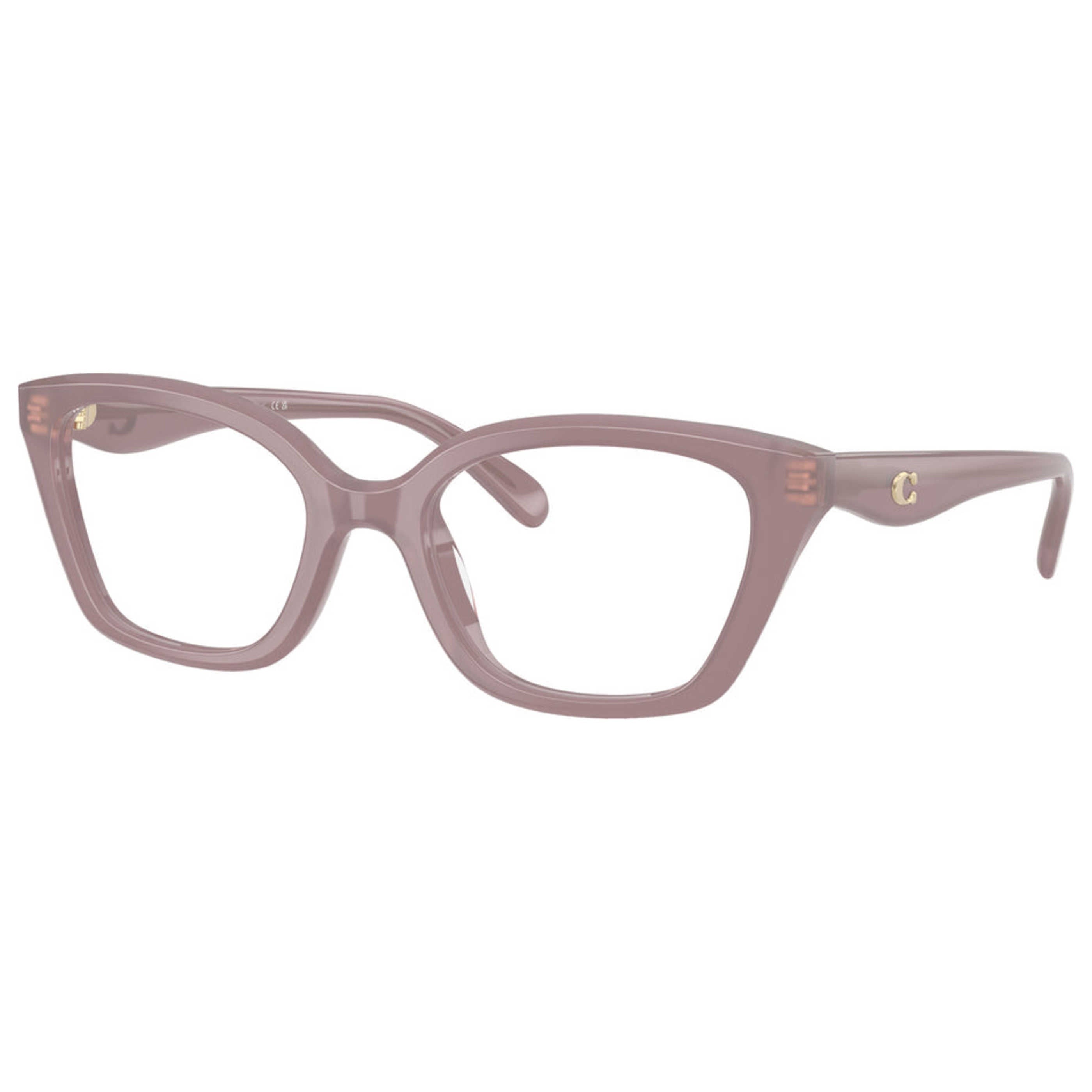 Coach Women's Eyeglasses HC6270U-5495-53