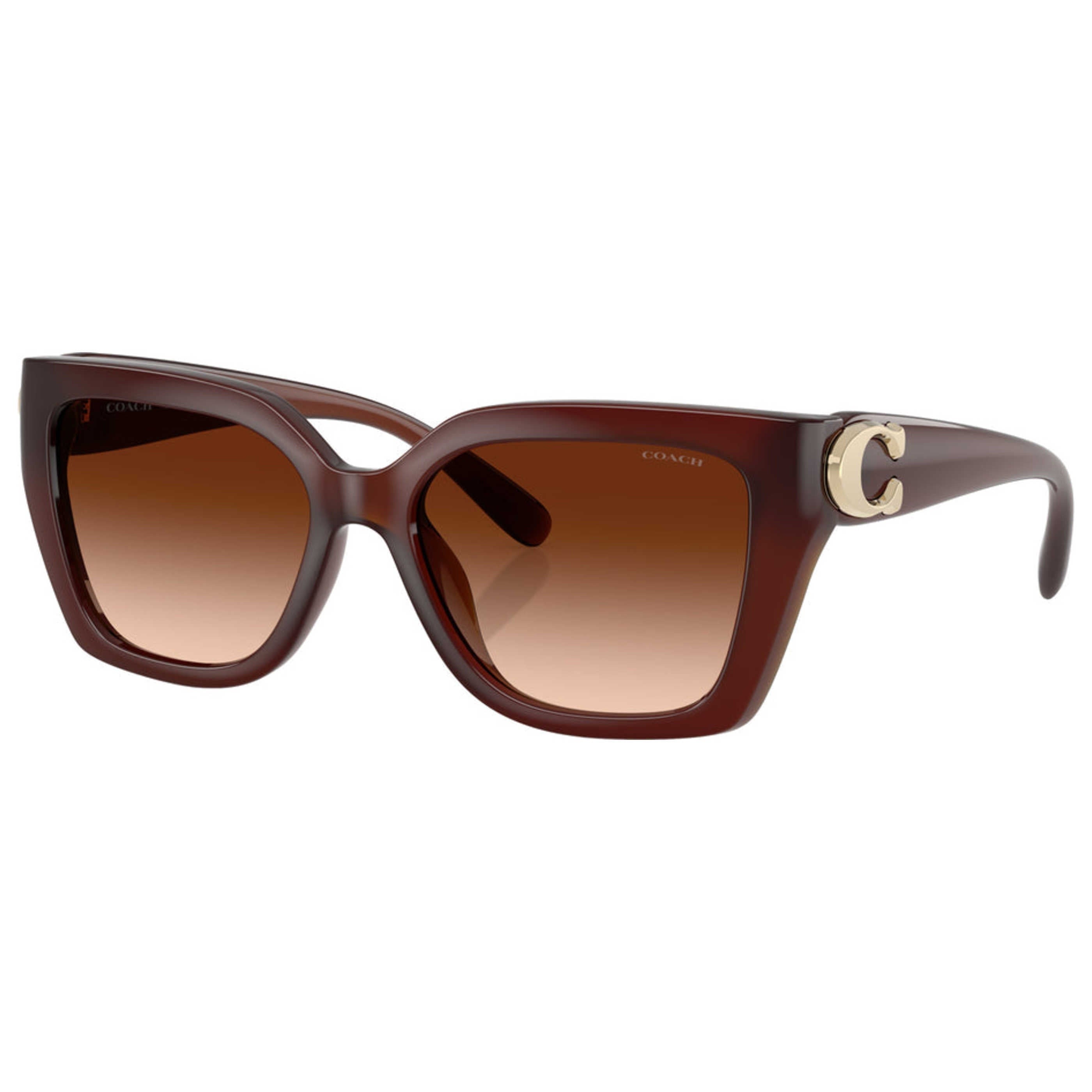 Coach Women's Sunglasses HC8408F-584174-57