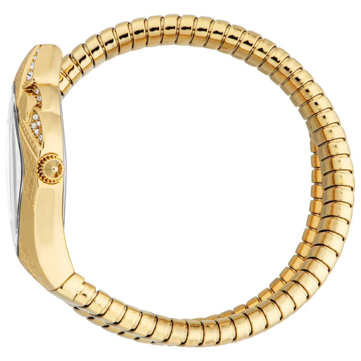 Just Cavalli Ferocious Women's Watch JC1L306M0035
