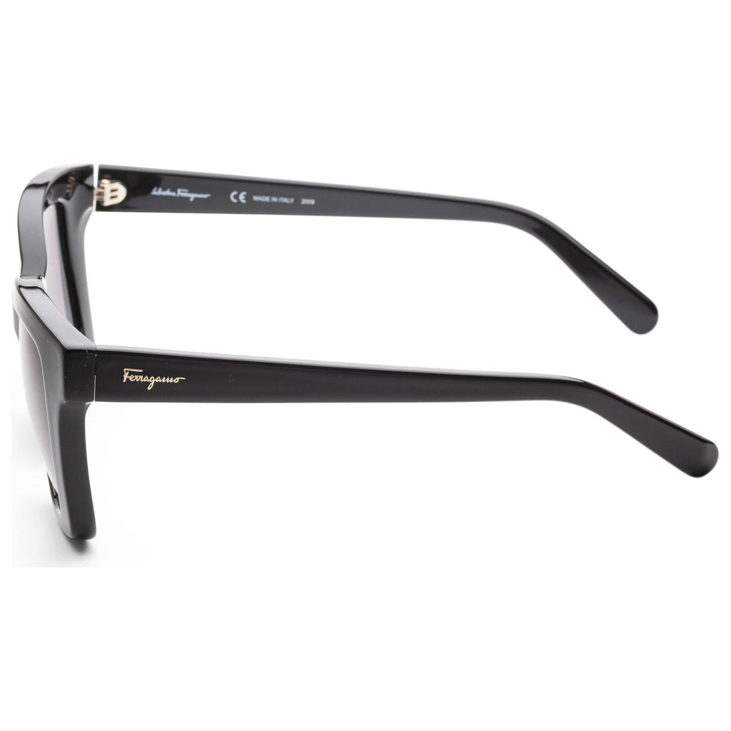 Ferragamo Women's Sunglasses SF955S-5319001