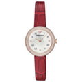 Emporio Armani Classic Women's Watch AR11357