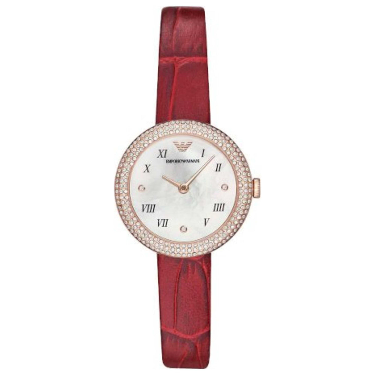 Emporio Armani Classic Women's Watch AR11357